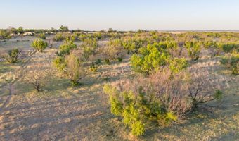 County Road 239, Afton, TX 79220