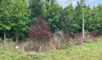 Lot 1-C Daniels Lane, Bennettsville, SC 29512