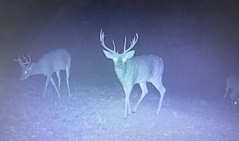 9030 HILLANDALE Dr, Auburn, AL 36830