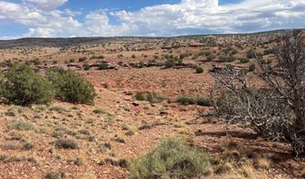 N5158, Concho, AZ 85924