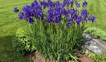 18 Ohandley Dr, Amenia, NY 12501