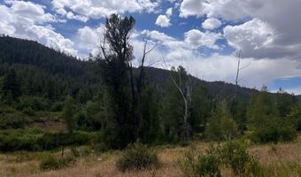 3230 Bear Creek Rd, Bayfield, CO 81122