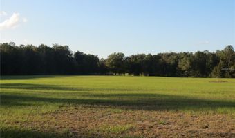 9714 NW 236TH Ter, Alachua, FL 32615