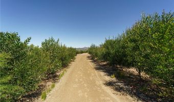 40230 Crazy Horse Canyon Rd, Aguanga, CA 92536