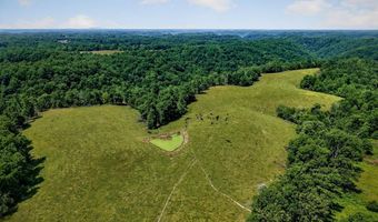8495 Baxter Rd, Baxter, TN 38544