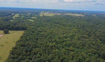 3899 County Road 304, Alton, MO 65606