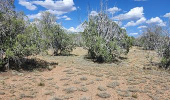 2901 N Cienega Dr A, Ash Fork, AZ 86320
