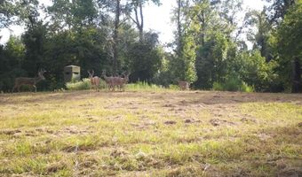 2233 Holloman Rd, Bentonia, MS 39040