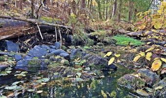 NNA 58 Acres Hwy 95 N, Bonners Ferry, ID 83805