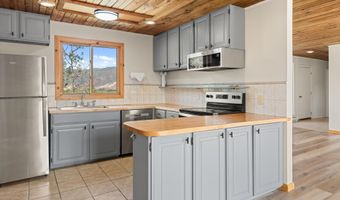 50 Twining Flats Rd, Aspen, CO 81611
