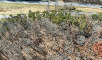 Virginia Ave lot 75, Bassett, VA 24055