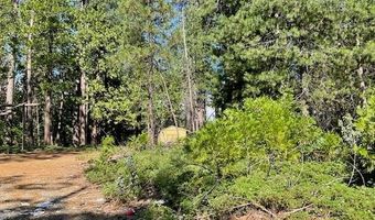 3229 Ponderosa Rd, Arnold, CA 95223