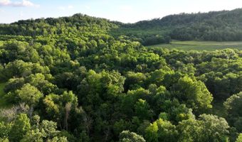 TBD Bear Pen Rd, Arkansaw, WI 54721
