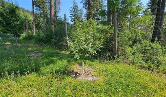 31714 Twinflower Ln, Bigfork, MT 59911