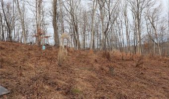 Route 12 Road, Alum Creek, WV 25003