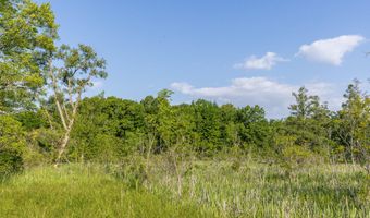 28 Mile Rd, Albion, MI 49224