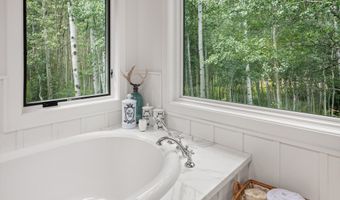 9555 Castle Creek Rd, Aspen, CO 81611