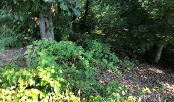 Lot 16 Bingley LN, Bella Vista, AR 72714