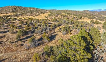 38 Copper Ridge Rd Lot 38, Alto, NM 88312