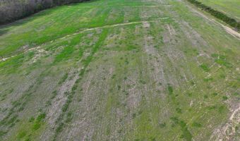 CR 450 N, Albion, IL 62806