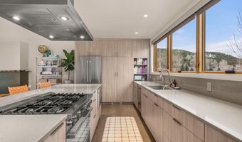 113 Valley Ct, Basalt, CO 81621