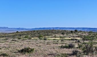 Tract 9 Sierra La Rana, Alpine, TX 79830