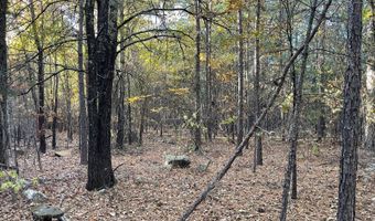 0 E 1912 Rd, Antlers, OK 74523