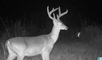 6150 SHOAL CREEK Rd 124+/- Acres, Ashville, AL 35953