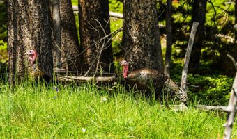 HAZELTON PEAK RANCH, Buffalo, WY 82834