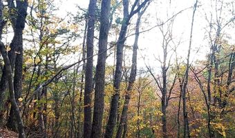 FAIRWAY Drive lot 31, Basye, VA 22810