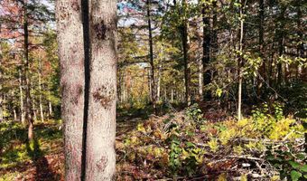 00 Duck Pond Rd, Barton, VT 05822