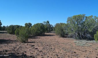 24 County Road 8063, Concho, AZ 85924