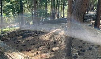 778 Yuroc Dr, Arnold, CA 95223