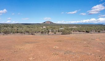 541 S Coyote Rd, Apple Valley, UT 84737