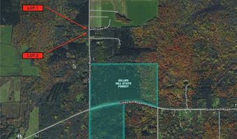Townline Road, Angelica, NY 14709