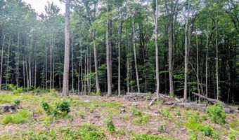 Acworth Road, Charlestown, NH 03603