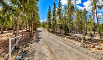 265 Placer Dr Lot 10, Alma, CO 80420