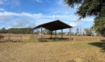 13962 State Highway 95 N, Abbeville, AL 36310