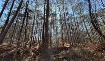 N Forty lot 3, Alexander City, AL 35010