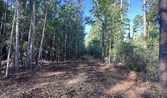 Jarvis Landing Road, Aurora, NC 27806
