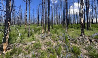 2493 Greer Rd, Bellvue, CO 80512