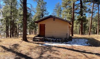 28 COUNTY RD. N2175 HULSEY LAKE RD., Alpine, AZ 85920