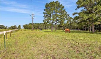 6779 County Road 215, Anderson, TX 77830
