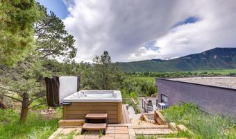 21249 Two Rivers Rd, Basalt, CO 81621