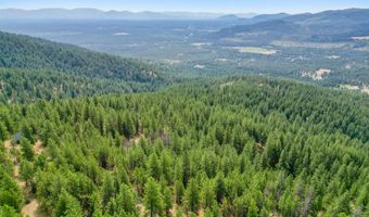 NNA USFS 2550 40 acres, Blanchard, ID 83804