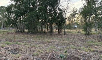 0 ALTURAS BABSON PARK CUTOFF Rd Lot 78, Bartow, FL 33830