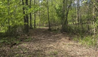 15252 27 Mile Rd, Albion, MI 49224
