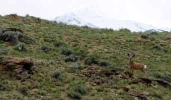 nhn Cumberland Road, Clark, WY 82435