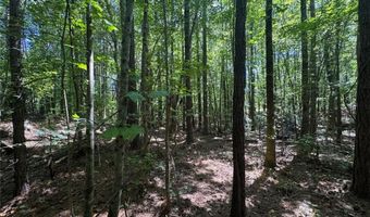 91 Hickory Creek Ln, Acworth, GA 30101