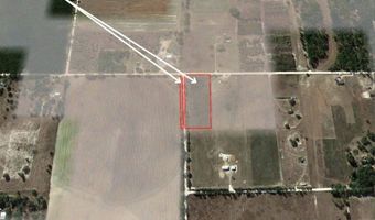 NW 50th STREET, Bell, FL 32619